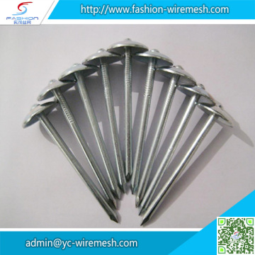 China Manufacturer asbestos roofing nails