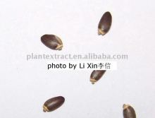 100% Water-Soluble Silymarin