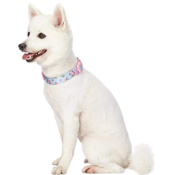 Άνοιξη Spring Floral Dog Collars