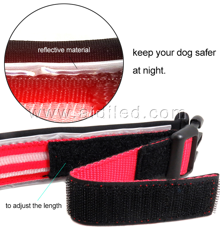 Led Safety Dog Collar