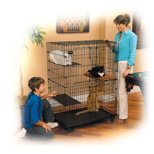 Mèo Playpen với 3 kệ đậu