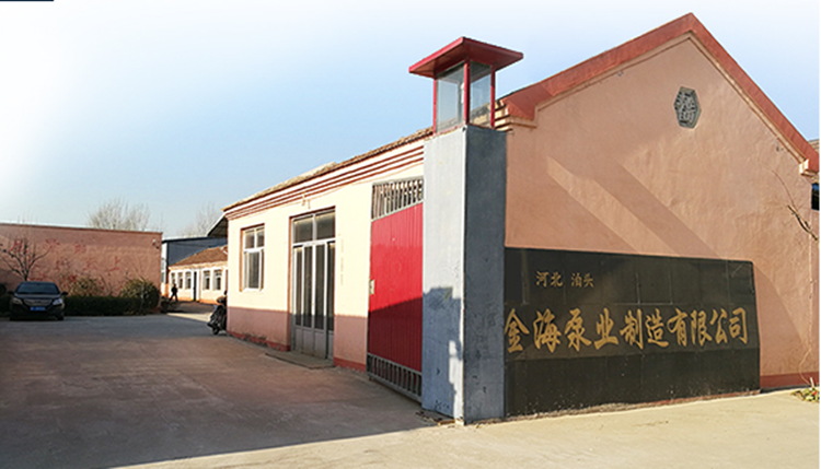 Deep Well Water Pump Borehole Pump