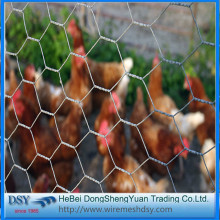 Galvanized Hexagonal Wire Mesh