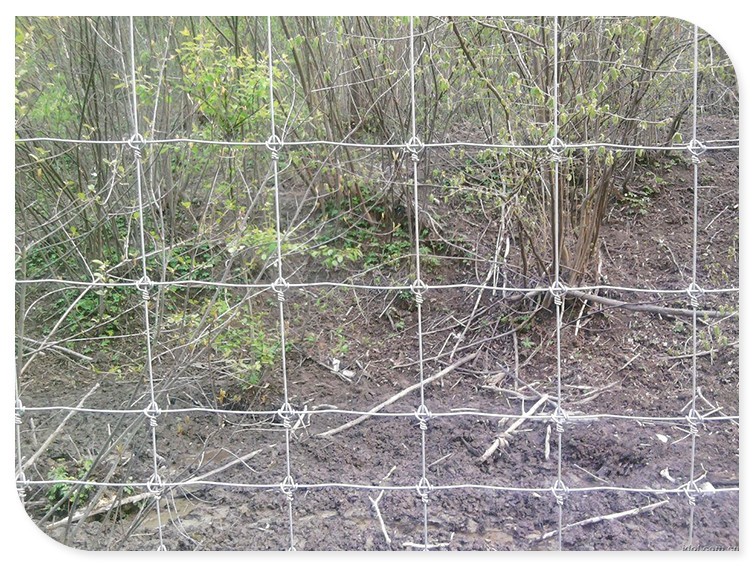 wire mesh sheep and goat farming cheap farm fence