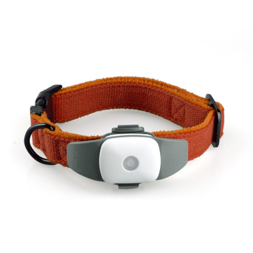 Small Waterproof Pet GPS Tracker Collar System