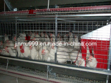H-Type Breeder Chicken Cages