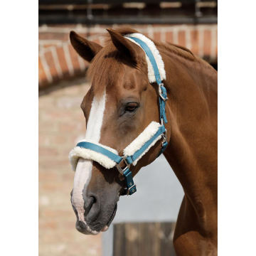 Wholesale Horse Halters Custom Handy Halter For Horses