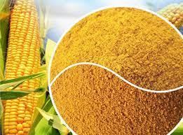 Premium DDGS: Cost-Effective Feed Additive