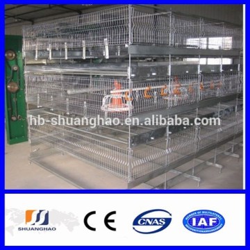 New !!! poultry farming/ chicken cage for India