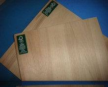 FSC All Eucalyptus Plywood (PLY003)