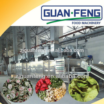 Industrial use vegetable continuous belt dryer