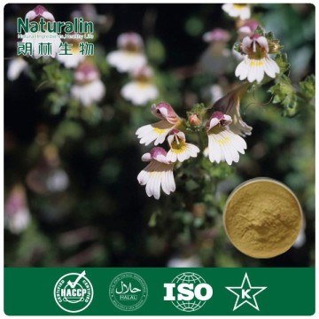 100% Natural Eyebright Herb Extract powder by TLC