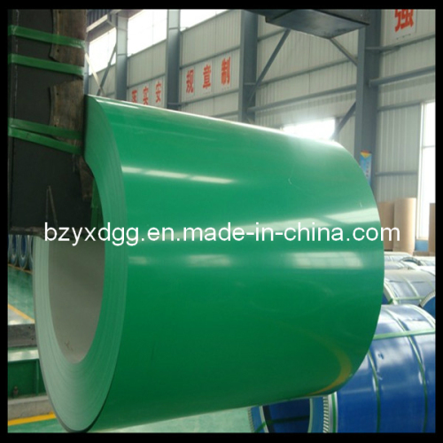 Galvanized Color Coated Steel Coil