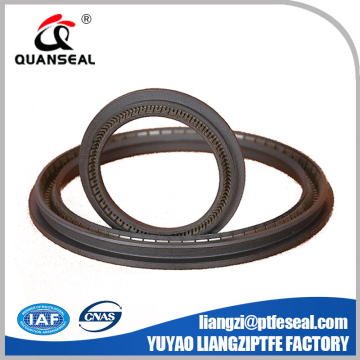 Different type Energized Spring Energized PTFE Seals