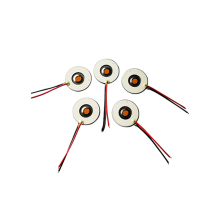 High-Molecular Piezoelectric Ceramic Film for Ultrasonic Atomizer Selection