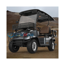 Best Seller 48V Electric Golf Carts: High-Quality Customized Lithium Battery Golf Carts, Club Carts, and Hunting Carts