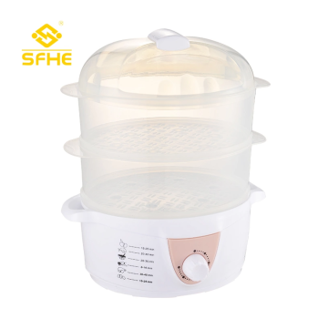 Multifunctional electric steamer household