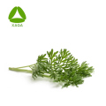 ISO9001 Китайская медицина органический экстракт листьев Mugwort