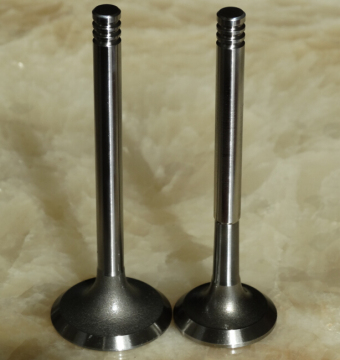 Russia Series Lada Auto In&Ex Engine Valve