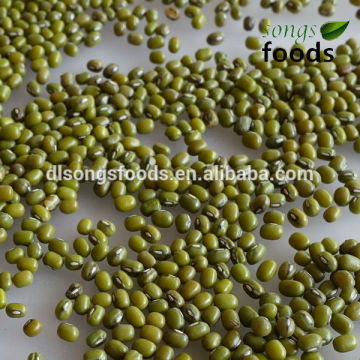 Green Gram for Vigna radiata type