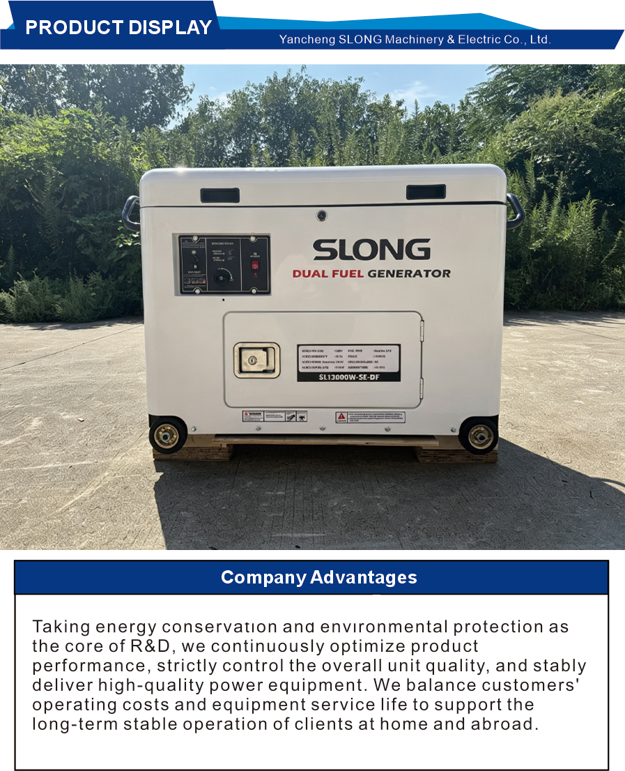 ژنراتور آماده به کار دوگانه سوخت بی صدا Solar Ready Solar Ready Silent Dual Fuel Standby Generator