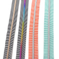 N.5 Zipper in nylon a strisce bianche e nere colorate