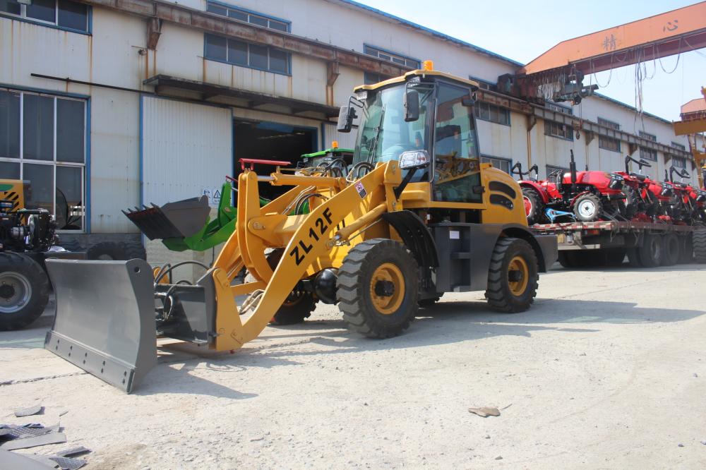 1 0tons Loader 4 Jpg