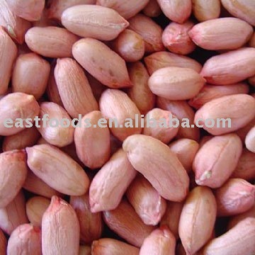 34/38 Peanut kernels(long type)