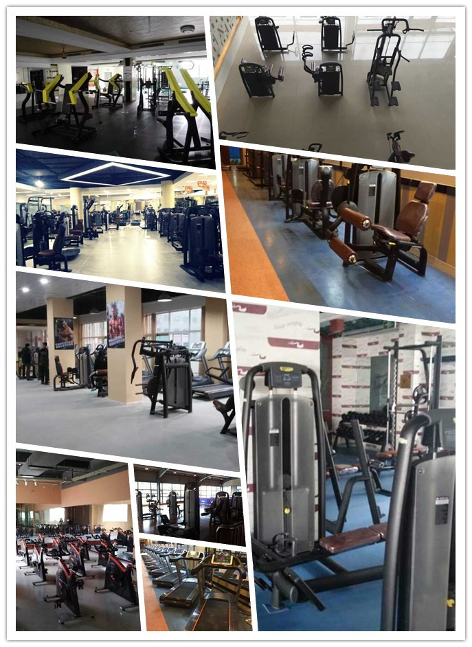 Commercial Upright Bike/Gym Equipment for Club