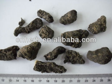 Rhodiola Root