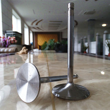 Japan Series Construction Machinery Valve for Engine