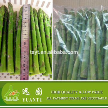 Frozen Asparagus With Certification (Whole and Tips)