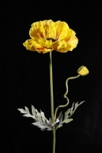 artificial poppy flower