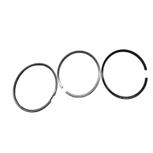 Good Sale Tractor Parts - Piston Ring for FIAT/Tractor 1931200