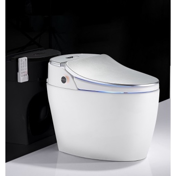 Bidet For Skirted Toilet One Piecet Sliver Color P-trap Smart Toilet