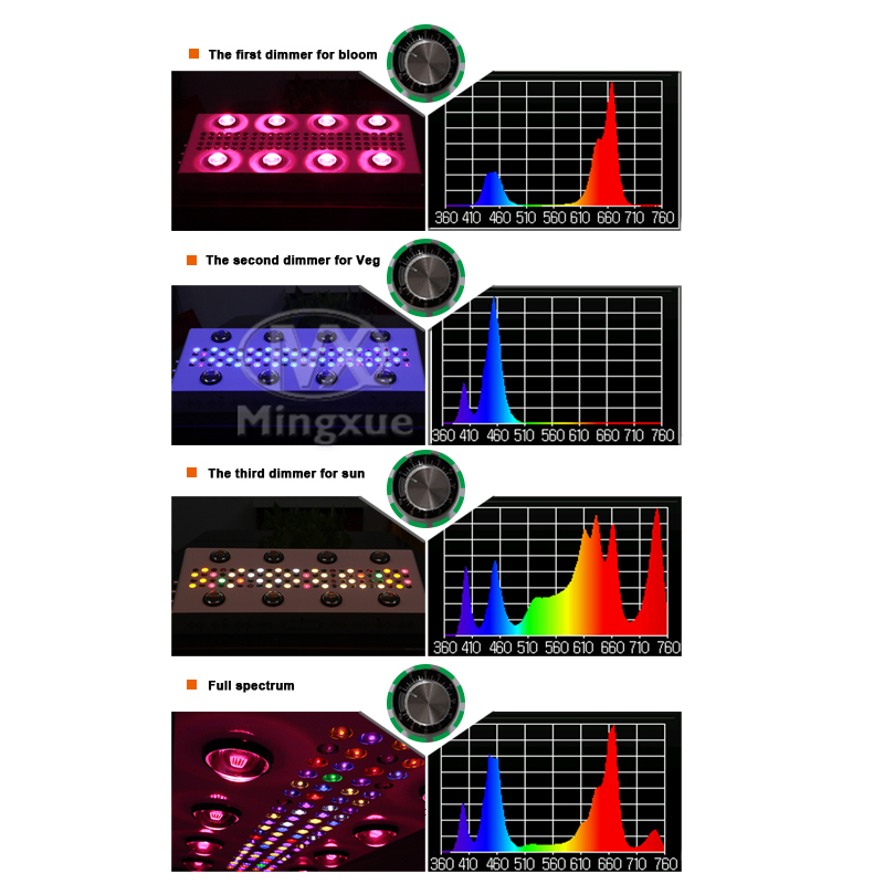 Spectrum picture of 4 phases