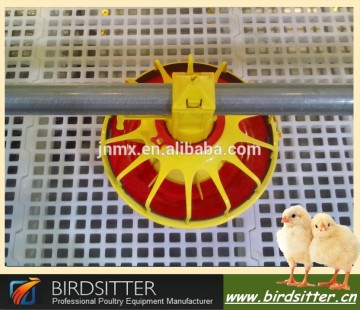 hot sale raising broiler chickens