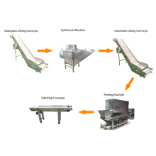 Garlic Processing Line: Garlic Peeling Machine and Industrial Clove Machine Production Line