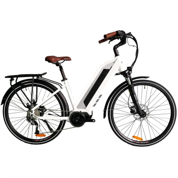 Wholesale Low Price Beach City Fat Tire Electric Bicycle