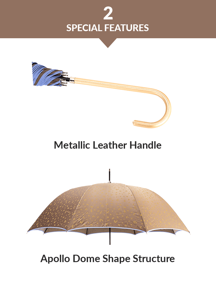 bâton de marche parapluie dames ladies umbrella walking stick