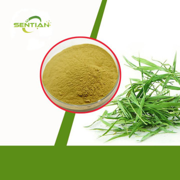 Lophatherum Herb Extract powder