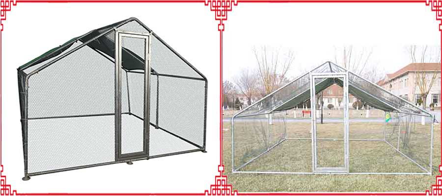 chenils de poulet chicken kennels