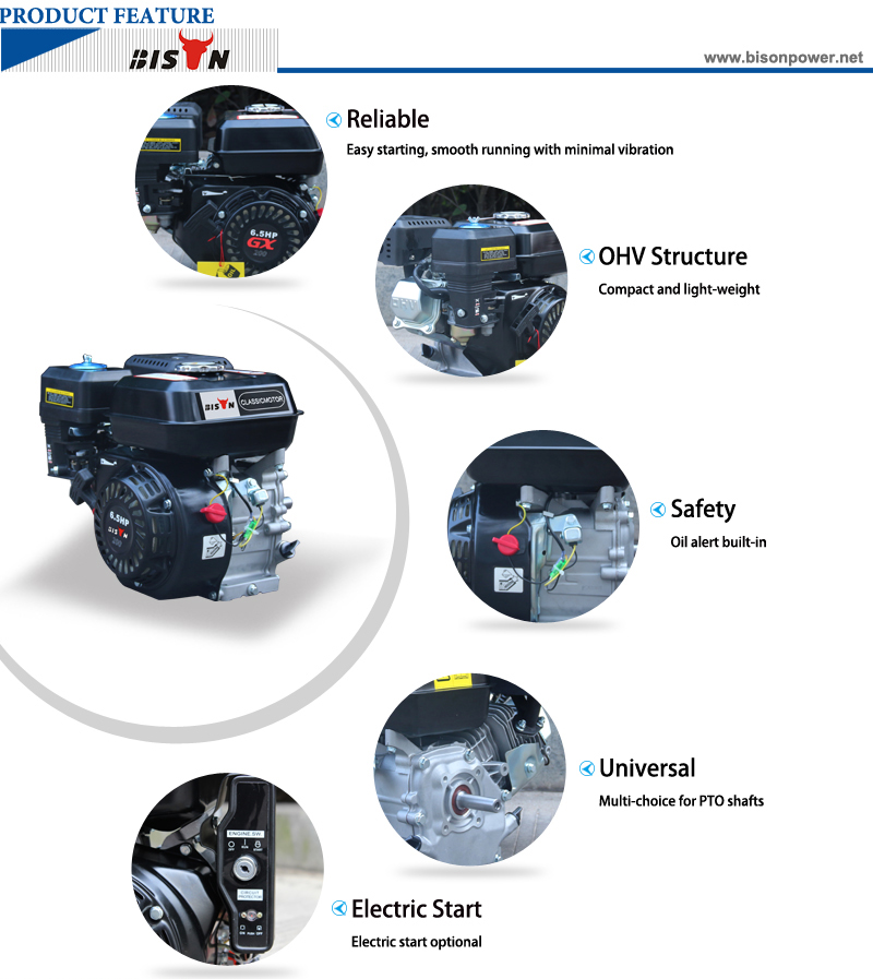 Bison 196cc Gasoline Engine, OHV Gasoline Engine BS200 6.5HP, Single Cylinder 168F-1 Gasoline Engine