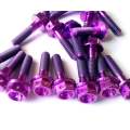 GR5 Titanium Hex Flange Bolts for Motorcycle