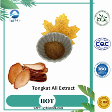 Sexual Function Enhance High Purity Tongkat Ali Extract