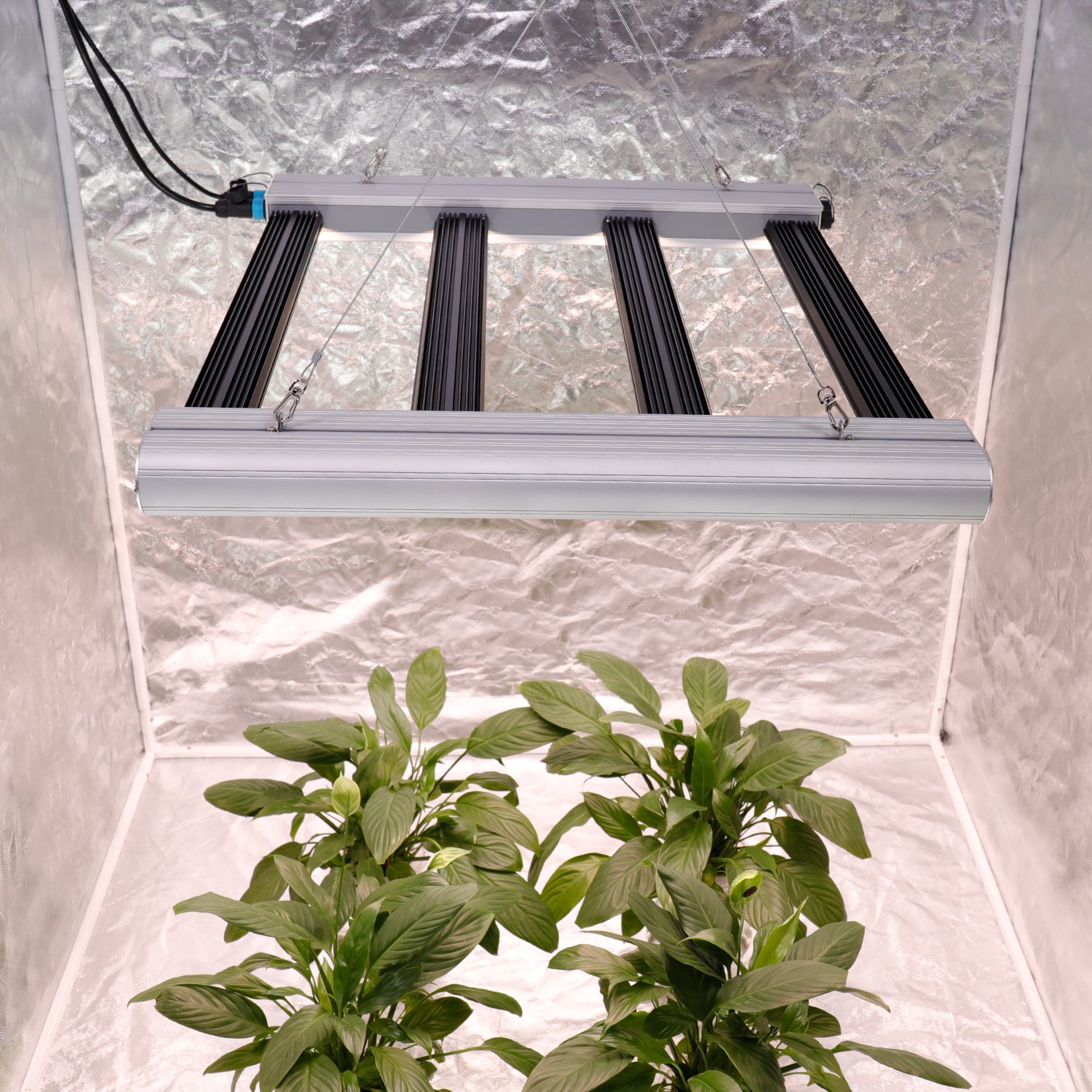 commercial Hydroponics Greenhouse