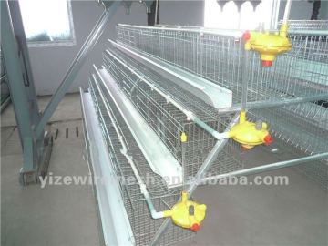 High quality chicken cage layer poultry