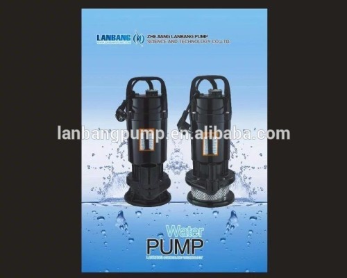 Water Pump Manufacture Qdx Series 1HP Water Pump Dealers In Kenya