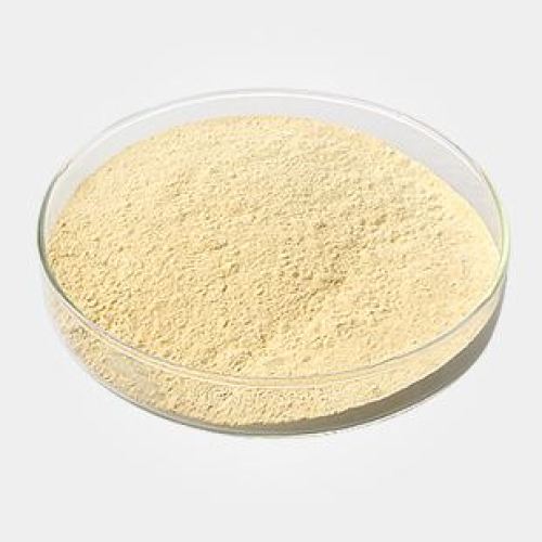 Xanthan Gum Cas n. 11138-66-2