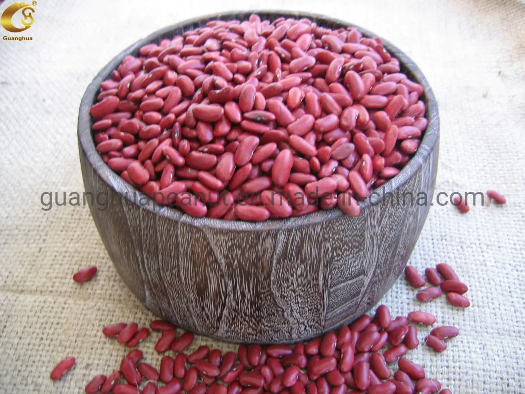 Best Qulaity Red Beans From China